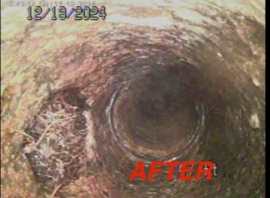 Video camera drain inspection